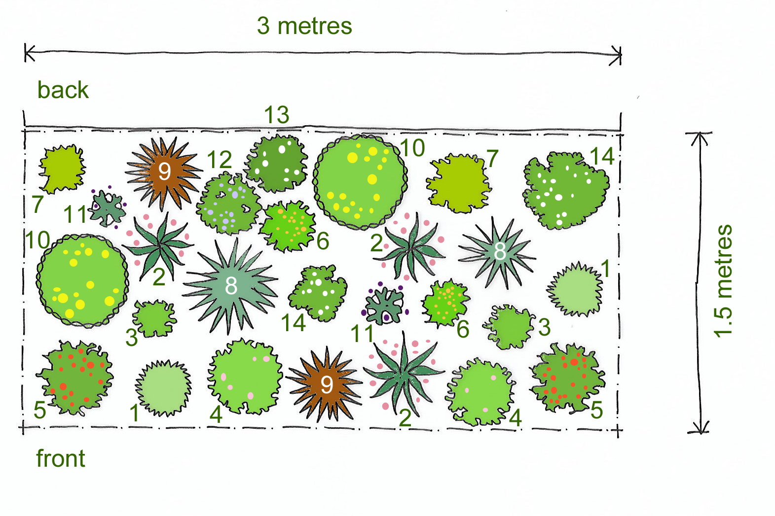 Rosy's planting plan for a Sunny Border